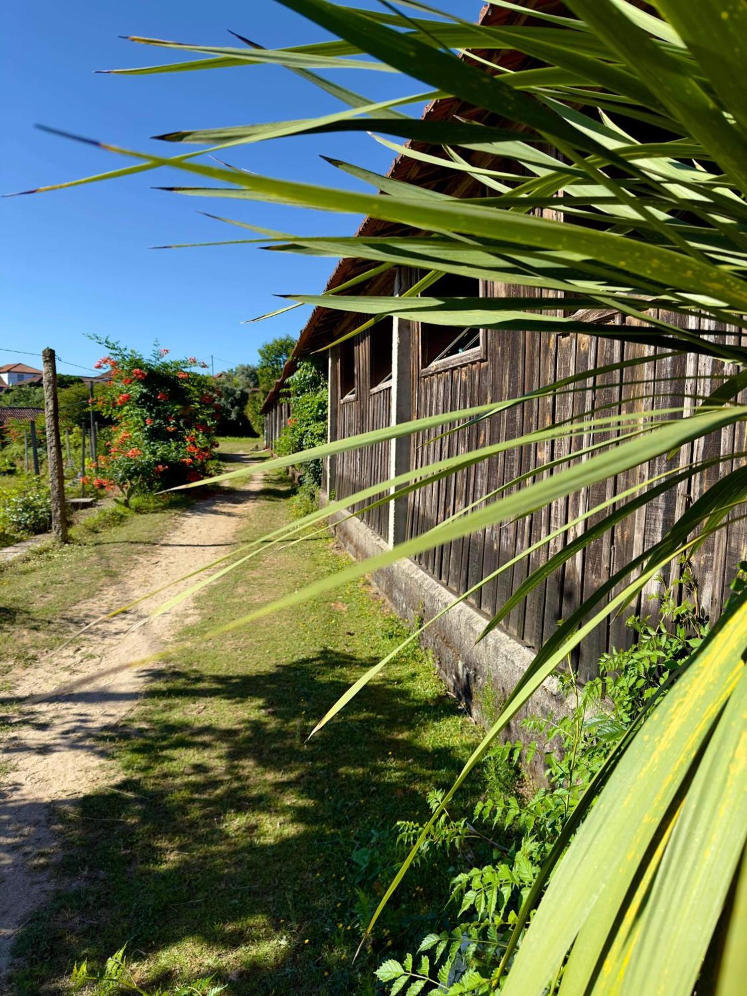 セロリコ・デ・バストCasa De Cerquedaアパートメント エクステリア 写真